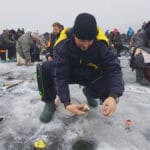 Февральская аномалия: на водохранилищах Днепра изменился ход плотвы