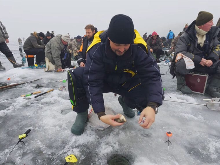 Карась несподівано активізувався на руслі Дніпра в розпал зими