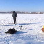 Лютий 2026: новий сезон клювання та рідкісні “вікна активності” риби в Україні