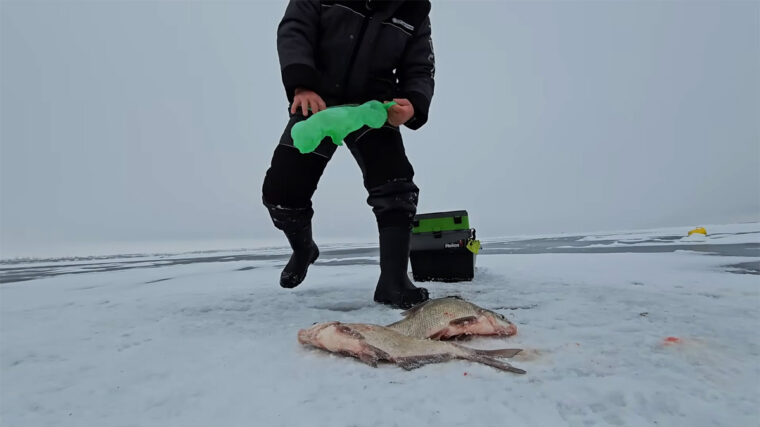Лящ стоїть вище дна й не реагує на підгодовування: прийом, який дозволяє його перехопити