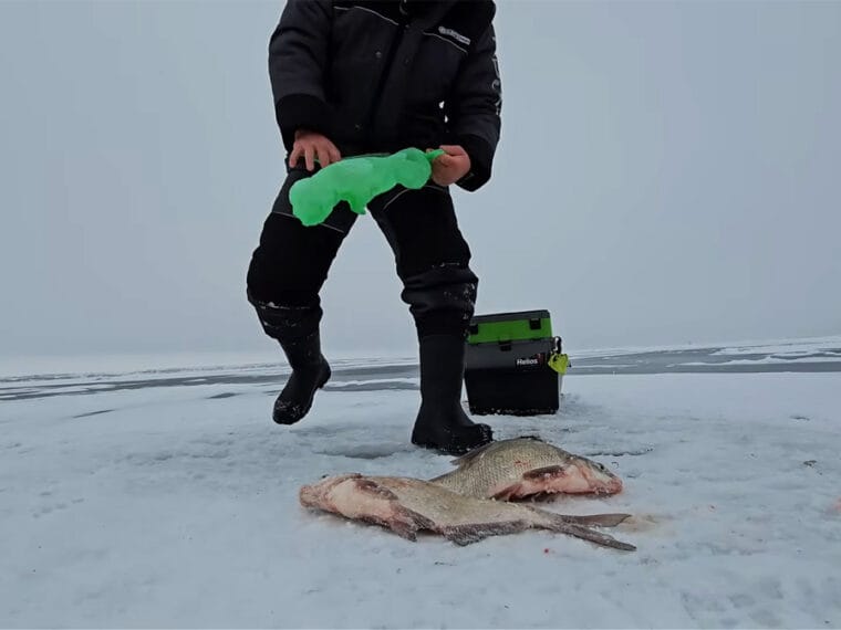 Лящ стоїть вище дна й не реагує на підгодовування: прийом, який дозволяє його перехопити