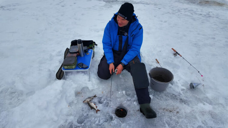 Ловля плітки на Дніпрі: тактика і прикормка для вечірнього клювання