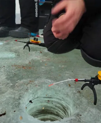 Лютий 2026: новий сезон клювання та рідкісні "вікна активності" риби в Україні