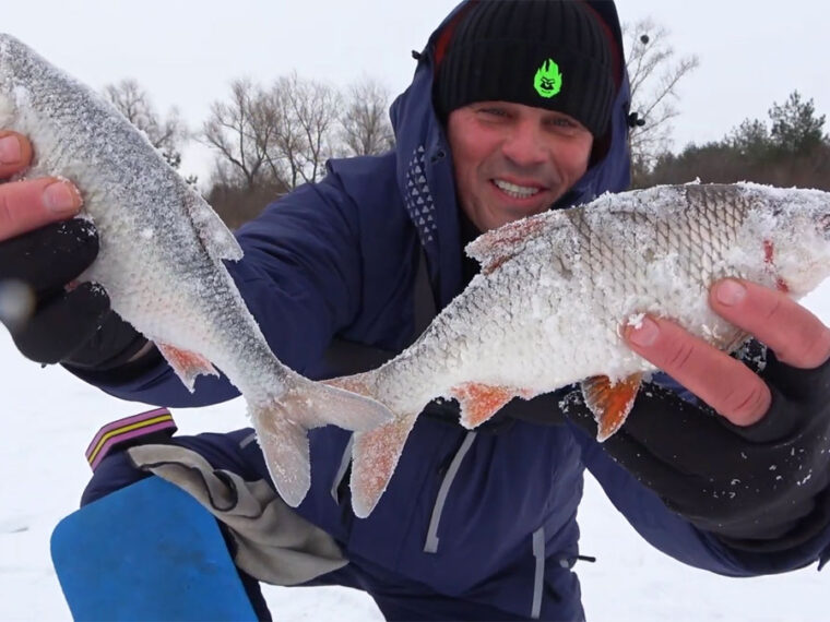 Деснянские "батоны" по 700 грамм: где под Черниговом плотва рвет снасти в феврале 2026