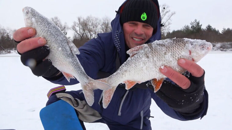 Деснянські "батони" по 700 грамів: де під Черніговом плітка рве снасті в лютому 2026