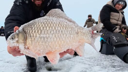На Дніпрі несподівано активізувався трофейний карась