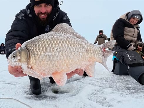 На Дніпрі несподівано активізувався трофейний карась
