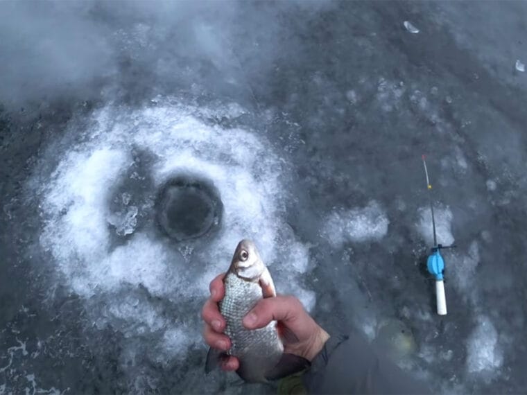 Лютнева аномалія: на водосховищах Дніпра змінився хід плітки