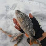 Как безопасно отапливать палатку и не отравиться угарным газом?