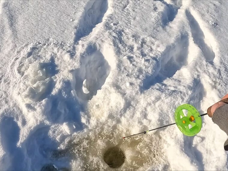 Куда пропадает окунь в глухозимье после обеда, если утром он клевал в каждой лунке?