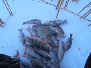 Помилка з пасивною снастю: чому "хрести" та жерлиці крадуть ваш улов