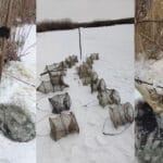 Карась гигант на Псле: где искать лаптей в глухозимье прямо сейчас