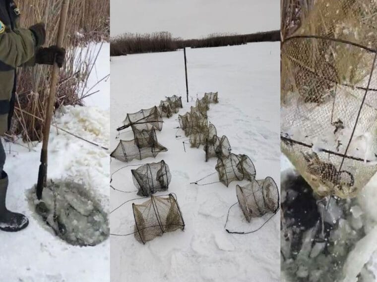 На Хоролі вилучили 17 заборонених вершей у заказнику