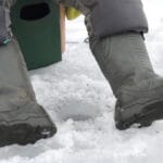 Чи правда, що великий окунь боїться розбурених місць і відходить на недоторкані ділянки льоду?