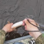 Жор плотвы на Каменском: мормышка не доходит до дна, лед тает на глазах