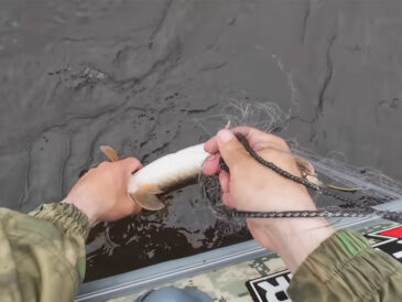 Сітки під забороною: які штрафи діють у 2026 році