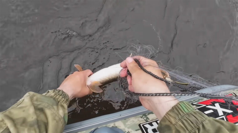 Сітки під забороною: які штрафи діють у 2026 році