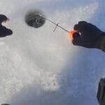 Эхолот показывает рыбу, но клева нет: почему прибор вас не обманывает