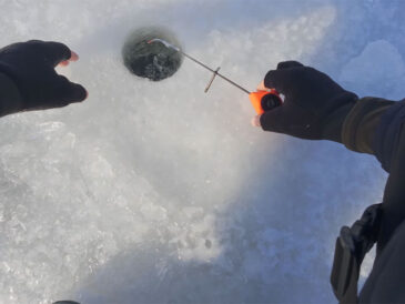 Эксперт рассказал, почему утром рыба стоит в точке, но не реагирует на приманку