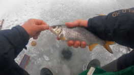 Як правильно оснастити гірлянду: відстань між мормишками, ліска?