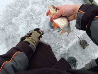 Помилка однієї лунки: як вичікування на гірлянду зводить улов нанівець у глухозим’ї
