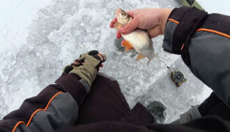 Помилка однієї лунки: як вичікування на гірлянду зводить улов нанівець у глухозим’ї