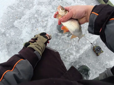 Помилка однієї лунки: як вичікування на гірлянду зводить улов нанівець у глухозим’ї
