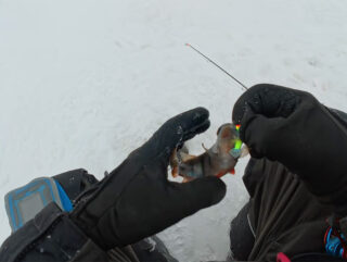 2 оберти - пауза 4 секунди: як змусити окуня брати балансир у глухозим’я