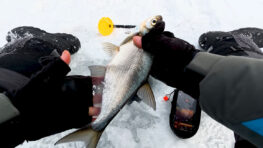 З лунки йдуть бульбашки, а риба не бере: що відбувається під льодом