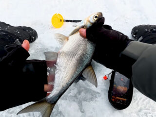 З лунки йдуть бульбашки, а риба не бере: що відбувається під льодом