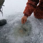 Флюорокарбон для мормышки часто мешает клеву: когда обычная леска работает лучше