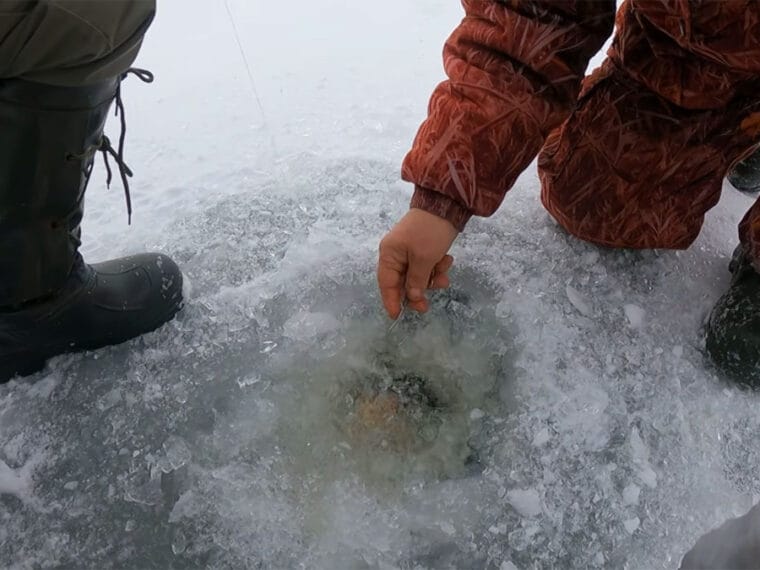 Затемнение лунки снегом часто портит клев: в каких условиях это действительно мешает