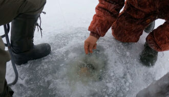 Затемнення лунки снігом часто псує клювання: в яких умовах це справді заважає