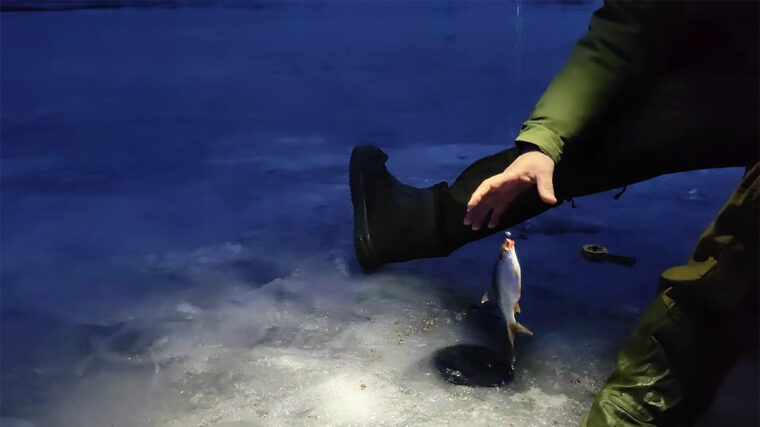 Жор плітки на Кам’янському водосховищі: мормишка не доходить до дна, лід тане на очах