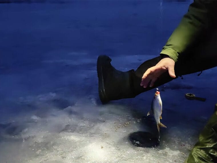 Жор плотвы на Каменском: мормышка не доходит до дна, лед тает на глазах