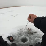 Як обрати зимову вудку для блешніння: баланс ваги та чутливості