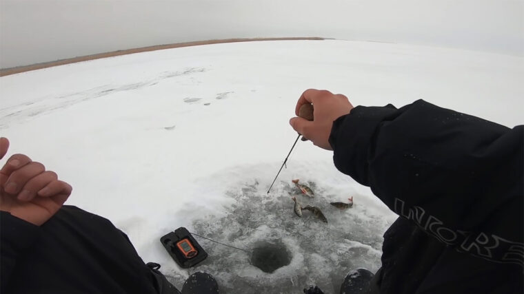 Як обрати зимову вудку для блешніння: баланс ваги та чутливості