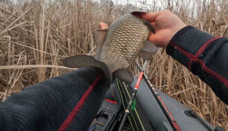 3 наживки, які реально працюють по карасю у квітні