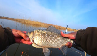Чим ароматизувати прикормку на карася у квітні: 3 запахи, які реально працюють