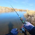 Чому силікон "мовчить" у холодній воді: 5 помилок, які роблять навіть досвідчені спінінгісти