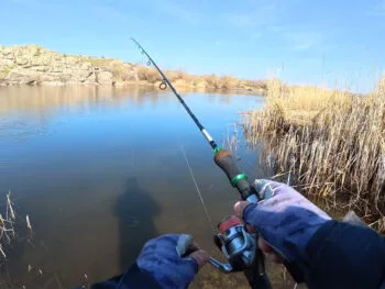 Чому силікон "мовчить" у холодній воді: 5 помилок, які роблять навіть досвідчені спінінгісти