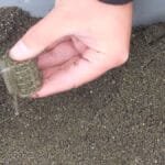 Плотва в Киеве ушла на глубину: где ловят на Днепре сейчас