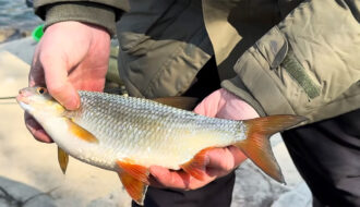 Додайте в прикормку на плітку перед риболовлею - і зграя стоятиме годинами: секретна добавка рибалок