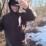 Плотва уходит на глубину: неожиданное поведение рыбы на Днепре в Черкасской области