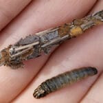 Календарь рыбака на апрель 2026 года в Украине: прогноз клева по дням