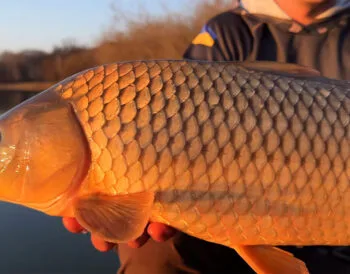 Календар рибалки на квітень 2026 року в Україні: прогноз клювання по днях