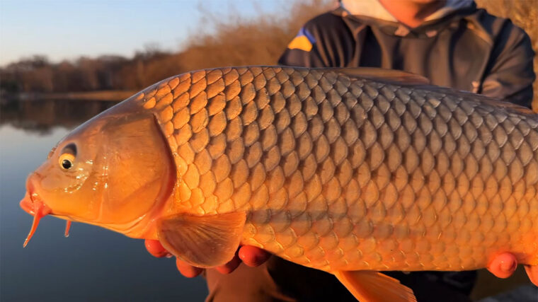 Календар рибалки на квітень 2026 року в Україні: прогноз клювання по днях