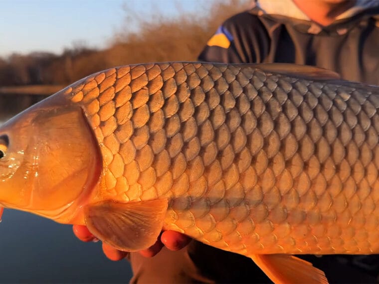 Календарь рыбака на апрель 2026 года в Украине: прогноз клева по дням