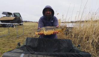 Карп пішов у березні 2026: перші улови на "Золотому сазані"