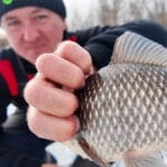 Ловля плотвы на Каменском водохранилище: тактика на 6-8 метрах по последнему льду